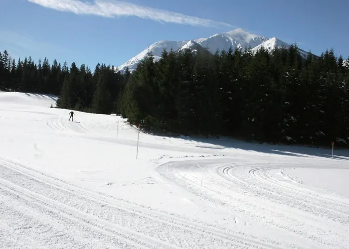 Chalet Am Skilift Hohentauern