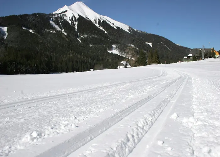 Am Skilift * Hohentauern