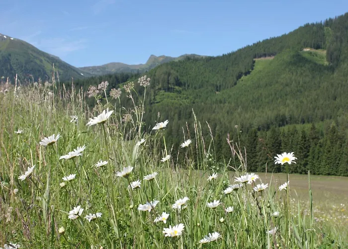Am Skilift Chalet Hohentauern